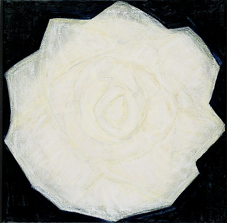 Vit Ros 2006